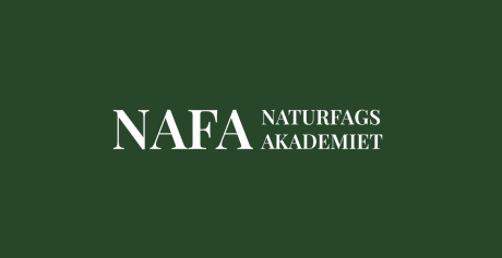 NAFA logo