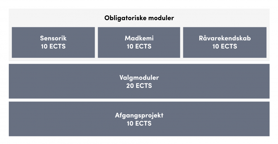 Oversigt over uddannelsens opbygning