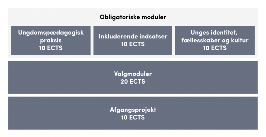 Oversigt over uddannelsens opbygning