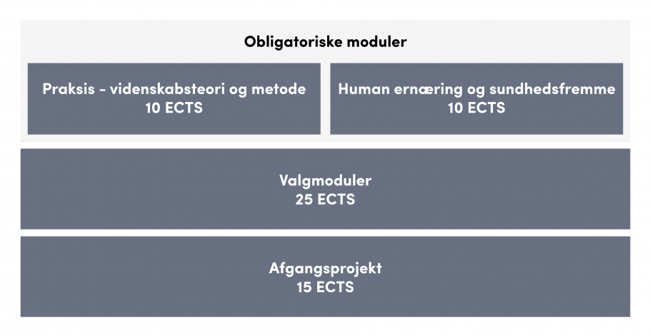 Oversigt over uddannelsens opbygning