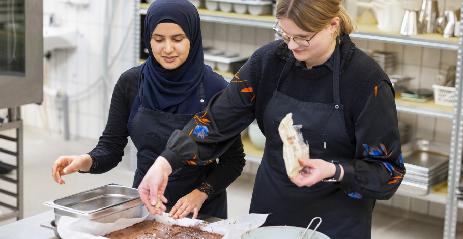 ernæring og sundhed, studieportræt
