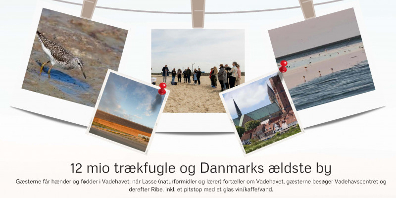 Luk 24 socialt program